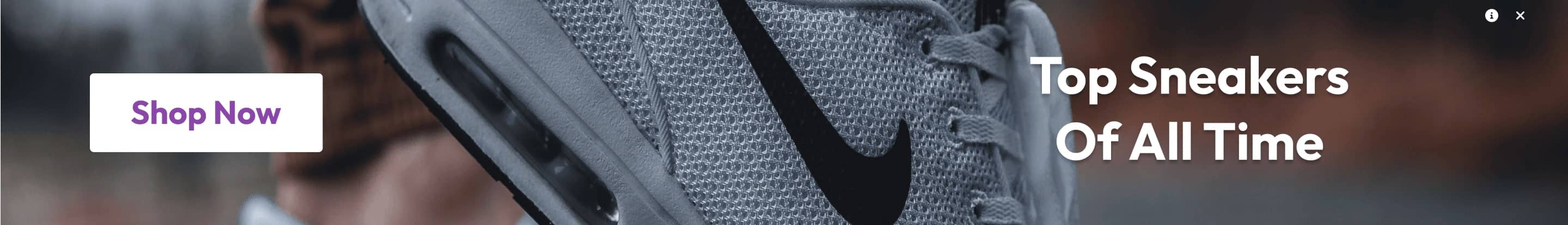 Introducing the Teams and Key Players of Nepal Premier League 2025