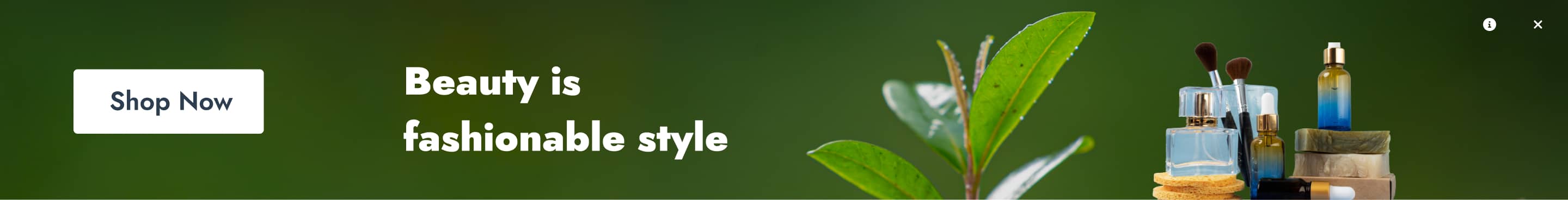 Introducing the Teams and Key Players of Nepal Premier League 2025